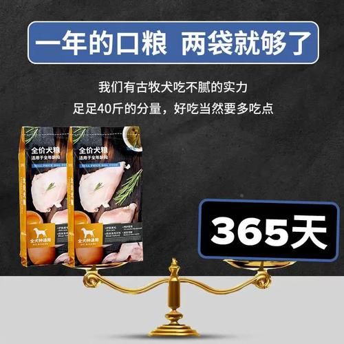 古代牧羊犬(要准备多少狗粮)