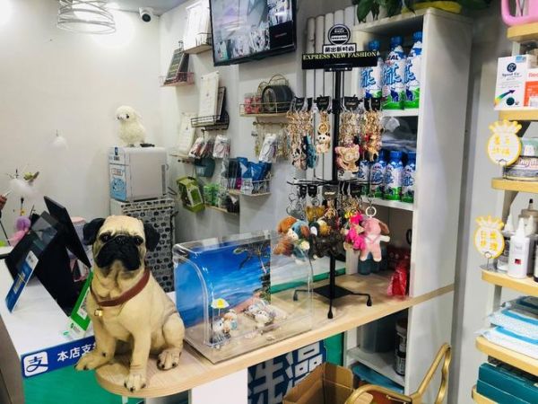 另类宠物店( 营销活动是关键吗)