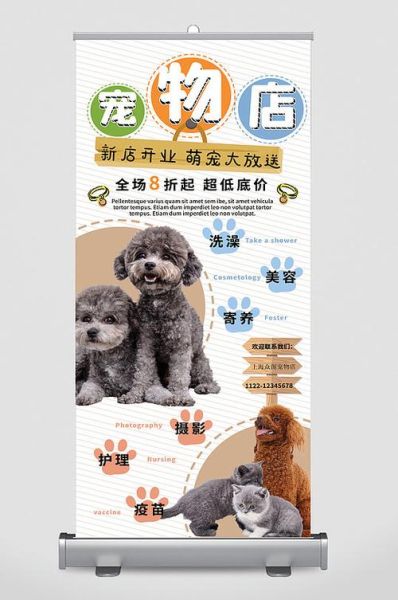 另类宠物店( 营销活动是关键吗)