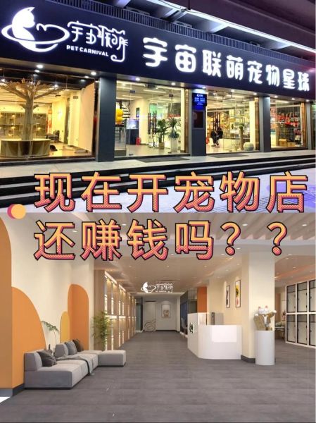 另类宠物店创业方案( 哪种宠物市场需求最大)