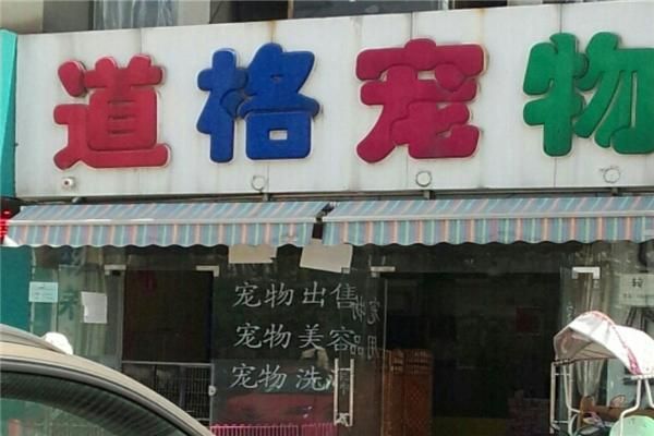 另类宠物店加盟(带你掘金市场)