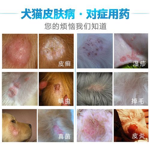 可得治(可得治好用吗)