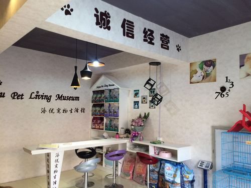 可爱的宠物名字(还是叫洛优甜蜜)