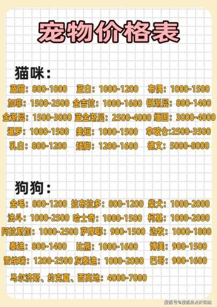 各种宠物狗价格(养一只比熊犬要花多少钱)