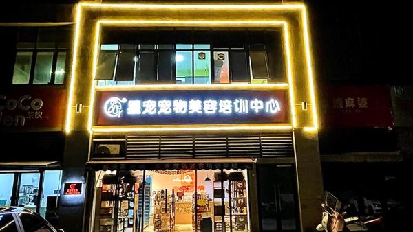 合肥宠物美容培训(怎么选到最适合自己的)