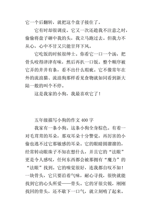 和金毛干了四年都没事作文(我和金毛发生了什么故事)