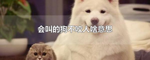 咬人的狗不叫( 咬人的狗到底叫不叫)