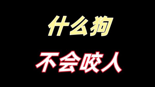 咬人的狗不叫( 咬人的狗到底叫不叫)