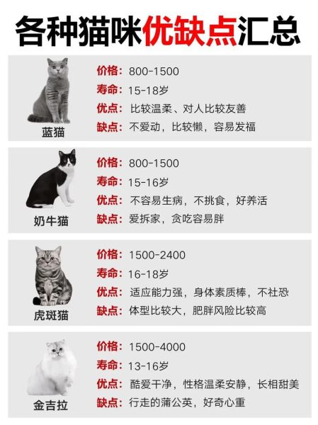 品种猫(到底选短毛猫还是长毛猫)
