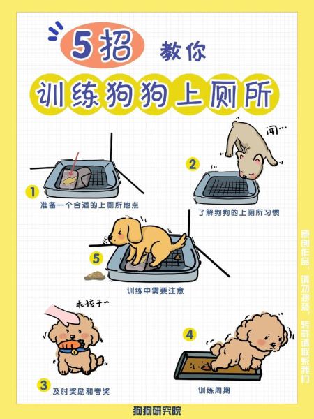 哈士奇怎么训练(怎样防止它乱尿乱拉)