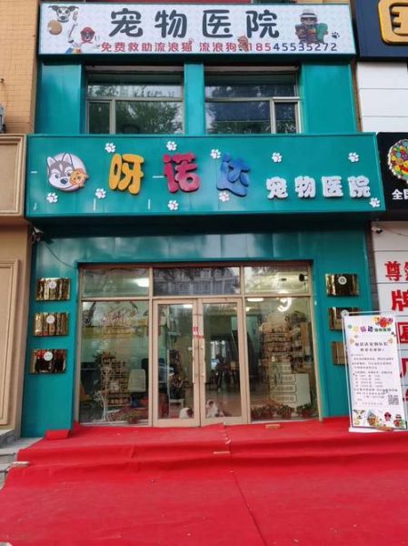 哈尔滨宠物医院( 哪家口碑好服务棒呢)