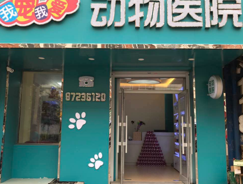 哈尔滨宠物医院( 哪家口碑好服务棒呢)