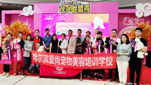 哈尔滨宠物美容(哈尔滨哪里有专业的宠物美容师)