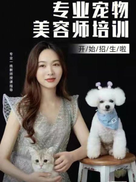 哈尔滨宠物美容学校(哈尔滨哪里培训)