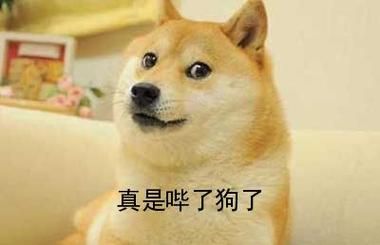 哔了狗了( 你到底想表达什么)