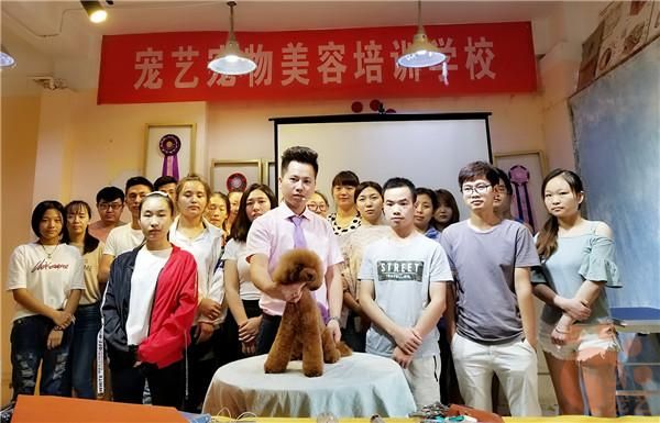哪里学宠物美容好(哪个老师教得好)