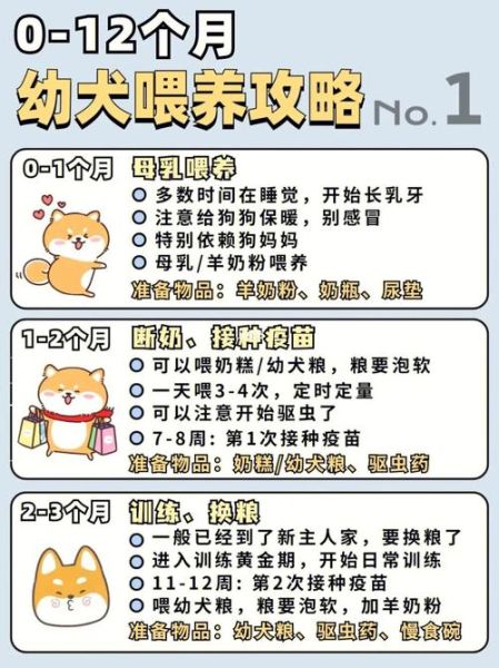 喂养宠物狗(如何喂养小狗才能让它健康成长)
