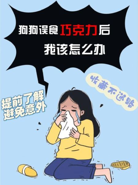 喂狗吃巧克力(到底有多危险)