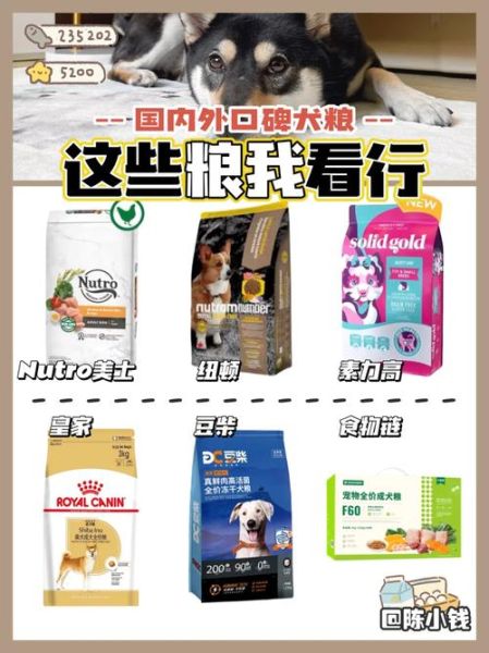 喂狗粮(怎么喂狗粮才能让它吃得香)
