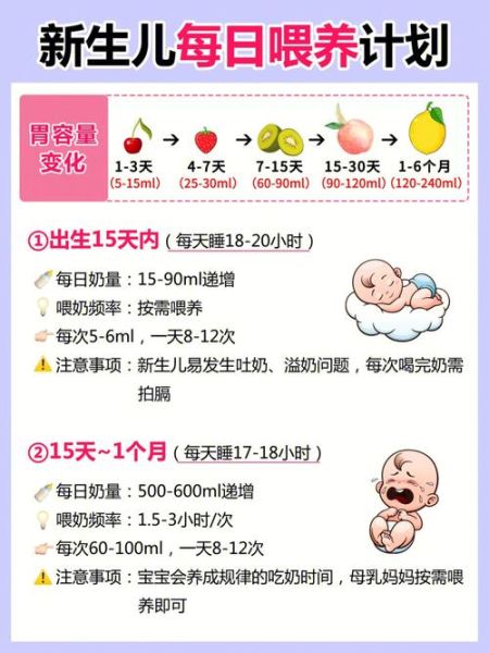 喂食时间怎么做(还是一天只喂一次)