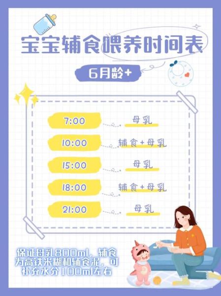 喂食时间怎么做(还是一天只喂一次)