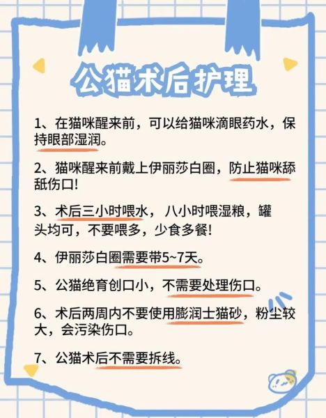 喵态(你需要知道的那些事儿)