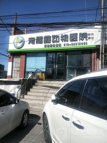 回龙观宠物医院(哪家性价比高)