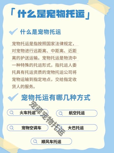 国内国际宠物托运(到底哪种方式更适合你)