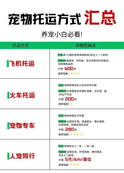 国内国际宠物托运(到底哪种方式更适合你)