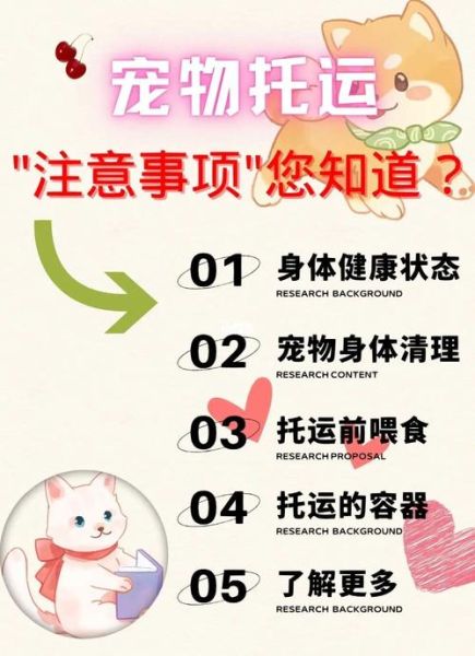 国内宠物托运(要注意哪些安全问题)