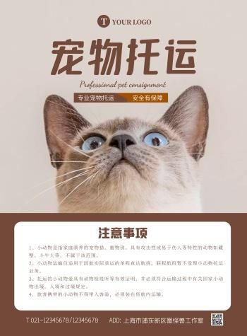 国内宠物托运(要注意哪些安全问题)