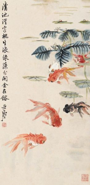 国粹金鱼(为何独占鳌头)