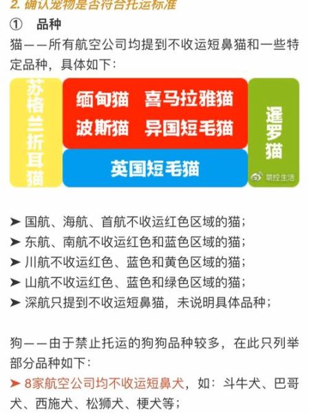 国际宠物托运( 哪个航空公司更划算)