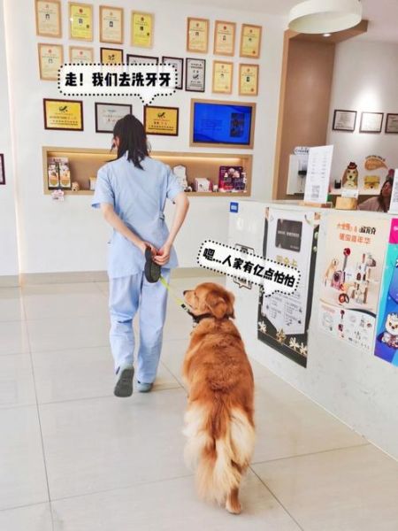 圣心宠物医院(圣心宠物医院值得信赖吗)