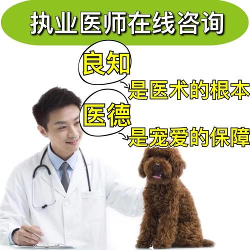 在线宠物医院(在线宠物医院更方便)