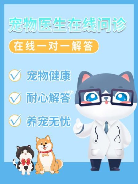 在线宠物医院在线咨询(在线咨询宠物医院试试看)