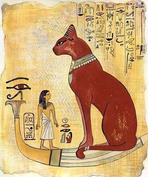 埃及猫的传说(它们身上隐藏着哪些不为人知的秘密)