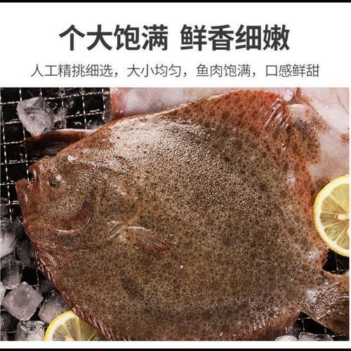 多宝鱼多少钱一斤( 哪里的价格最便宜)
