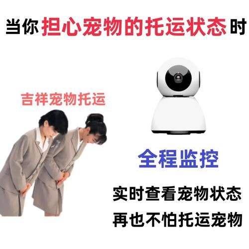 多格儿宠物托运(多格儿会照顾好我的宝贝吗)