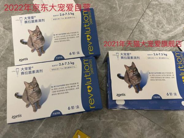 大宠爱(到底哪个更适合我的毛孩子)