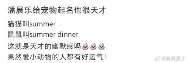 天才宠物网(天才宠物网教你轻松上手)