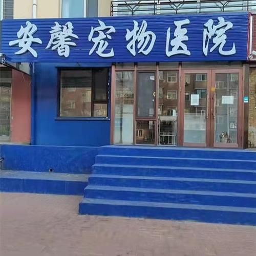 天津 宠物医院(还能让宠物安心)