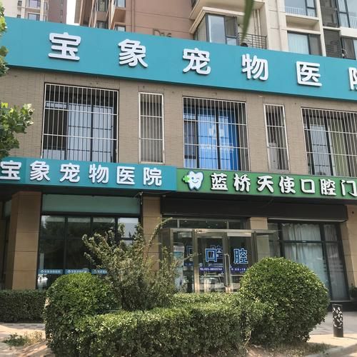 天津宠物医院( 哪个医生更靠谱)