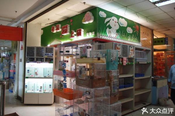天津宠物店(哪家宠物店性价比最高)