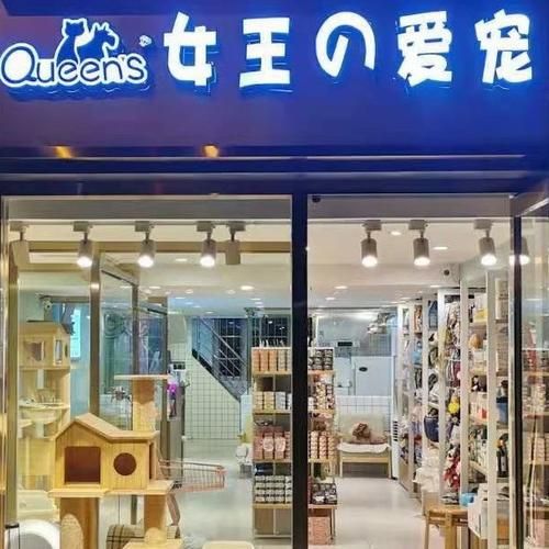 天津宠物店(哪家宠物店性价比最高)