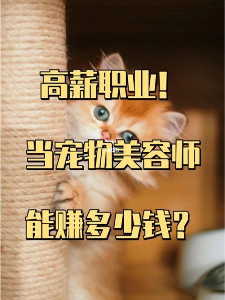 天津宠物美容培训学校(学完后能赚多少钱)