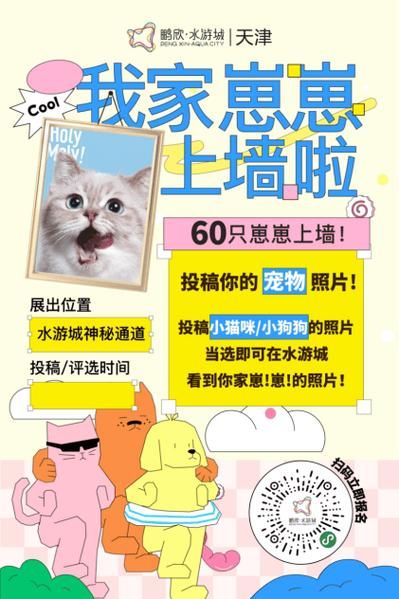 天津宠物论坛(天津宠物论坛有答案)