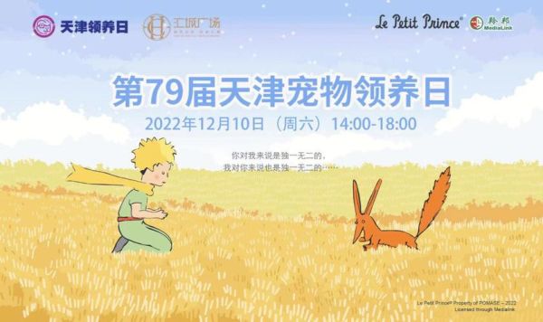 天津宠物领养(怎样才能参与其中)