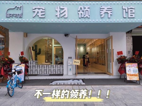 天津宠物领养(怎样才能参与其中)