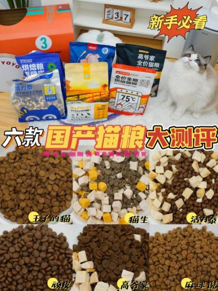 天然猫粮(国产猫粮靠谱吗)